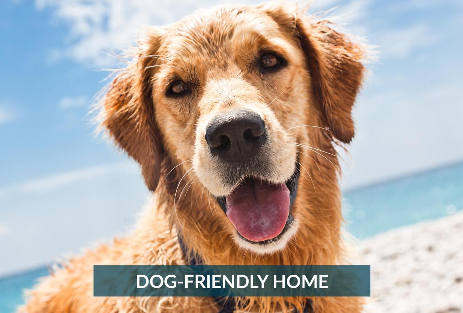 4011 The Dogs House 2 Min Walk To Beach Kitty Hawk Extérieur photo